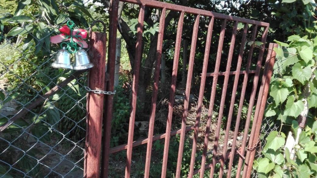Вилна Зона Златни Пясъци, Спирка Ален Мак 瓦爾納 外观 照片